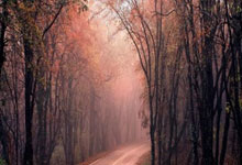 西甲官宣补赛时间巴萨不满欲上诉 看看人家巴黎的待遇.