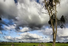 雷速体育：[大咖陪你看篮球]完整版：“克拉克效应”引发的女篮热潮.